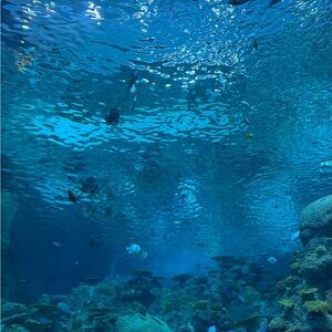 Meet your Posher, Сергій